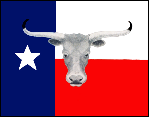 texas-flag-fixed-sm.jpg